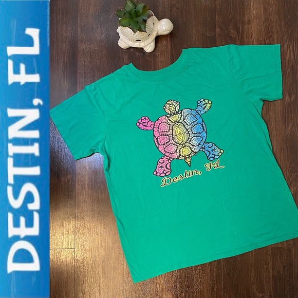 π’Sea Turtle Destin Fl. Top - Picture 12 of 13